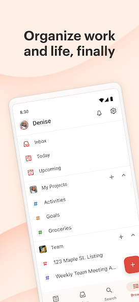 Todoist screenshot 5